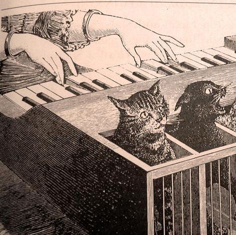 Catgut by Volker Neumann