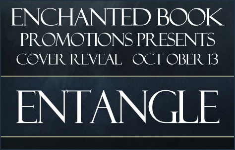 coverrevealentangle