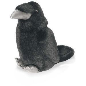 Nevermore, the Raven, Poe, 