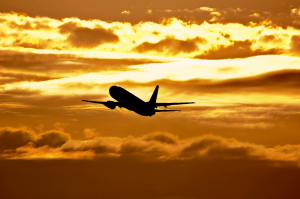 Flying the Chaotic Skies: The Power of Pause During My Cross-Country Travel Nightmare | Molly Fletcher