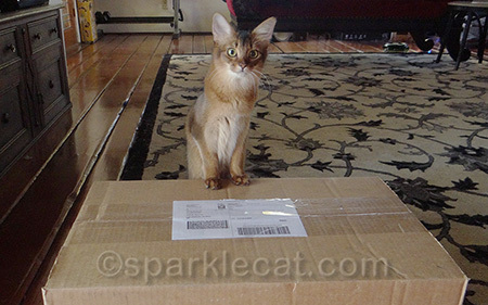 Can I keep the box?