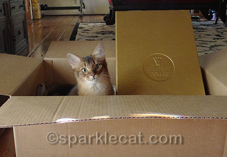 Seriously, can I keep the box?