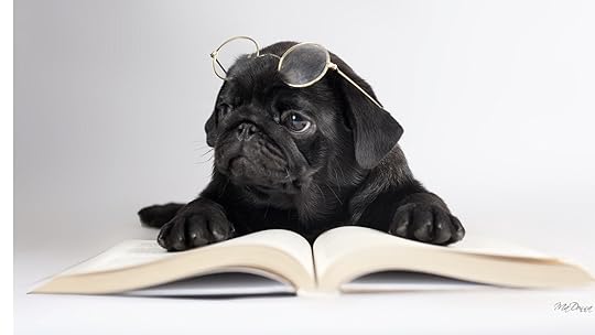 puggy reading