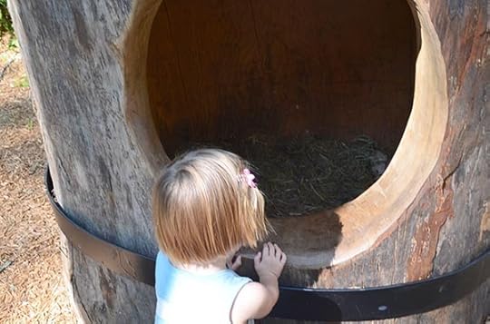 nature-play-tree