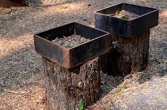 nature-play-collections