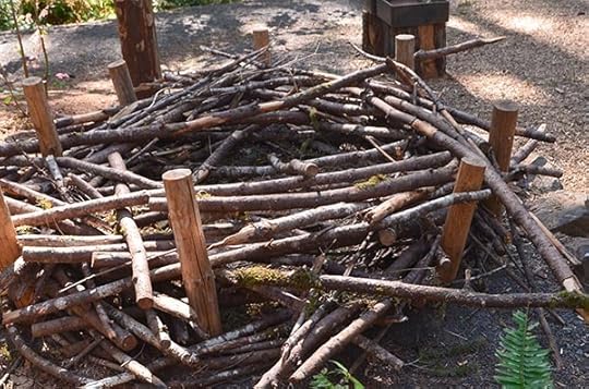 nature-play-wooden-nest