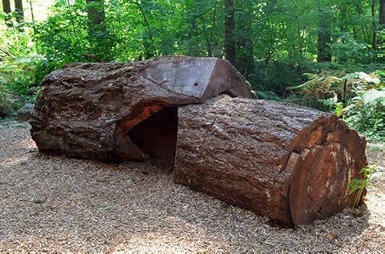 nature-play-hollow-log