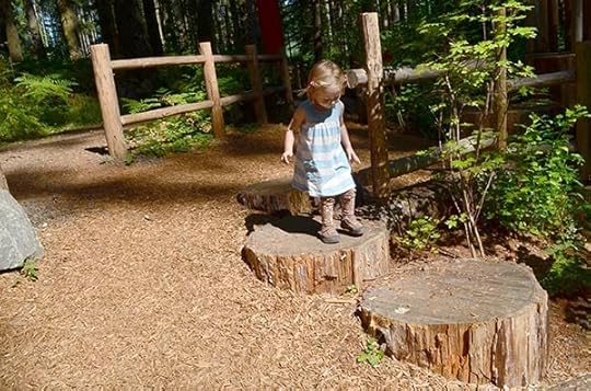 nature-play-stump-jumps