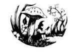 TOADLOGO