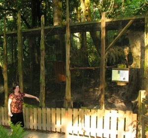 Mollie points behind a short wooden fence in from of a large aviary in the woods