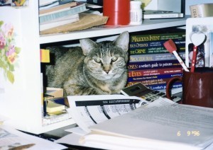 desk with mystery and crime books and cat in cubbyhole