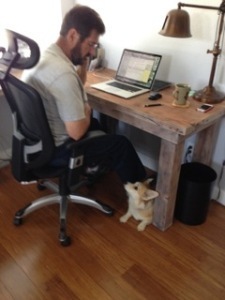 Corgi under desk, peering up at James
