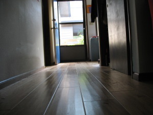 dog's eve view of wood-floored hallway and open screen door