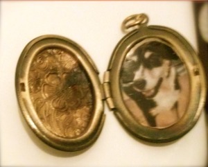 gold-colored locket with photo of mixed breed dog inside