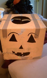The Pumpkin Box Costume