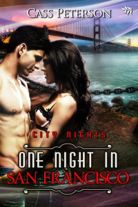one night SF