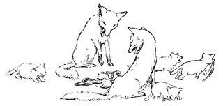 Drawing by HJ Ford