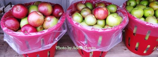 HO_AppleBaskets