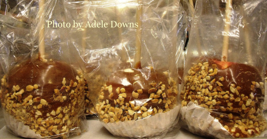 HO_CaramelCandyApples