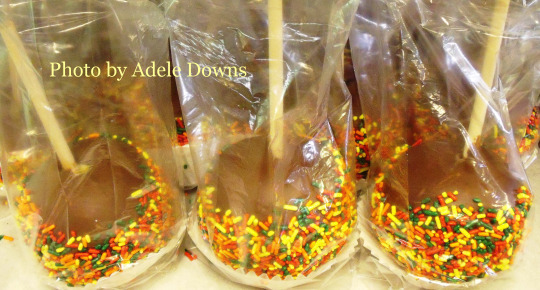 HO_CandyApplesSprinkles