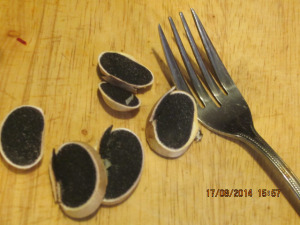 mushrooms, edible fungus, puffballs