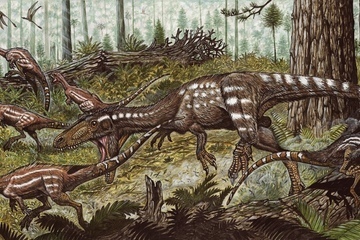 The predatory dinosaur <em>Tachiraptor admirabilis</em>, unearthed in Venezuela, attacking the herbivorous dinosaur <em>Laquintasaura</em>.