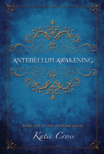Antebellum Awakening Releases October 15th: Available for PreOrder today!