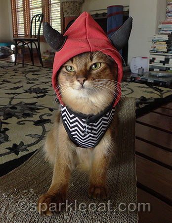 I think I look devil-may-care