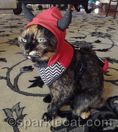 She does not like wearing outfits like I do