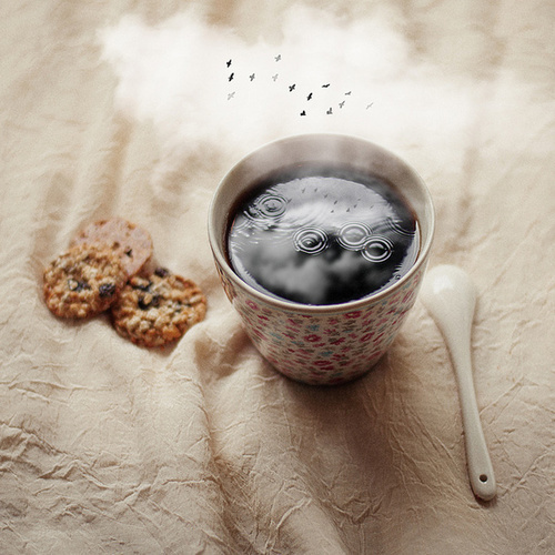 Photo by Laura Zalenga