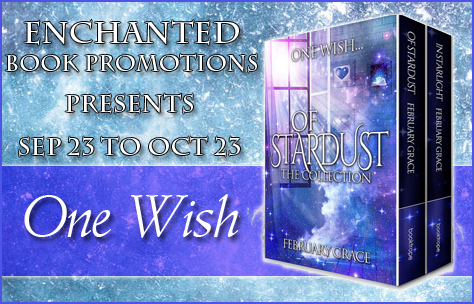 onewishbanner