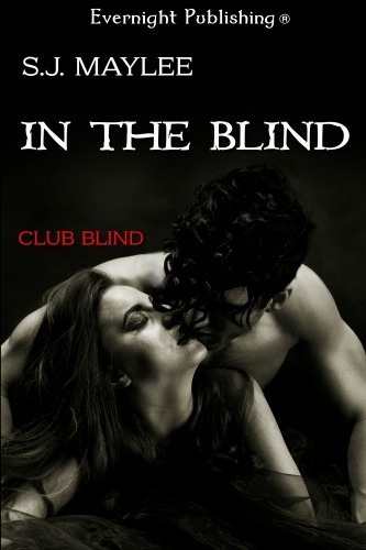 intheblind 500x333