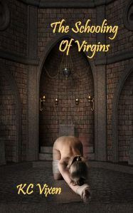 The Schooling Of Virgins Kindle