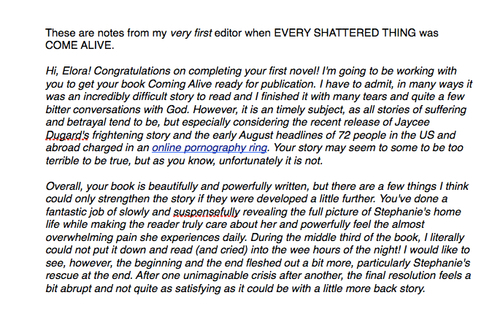 Notes from my first editor: sweeping and over-generalized.