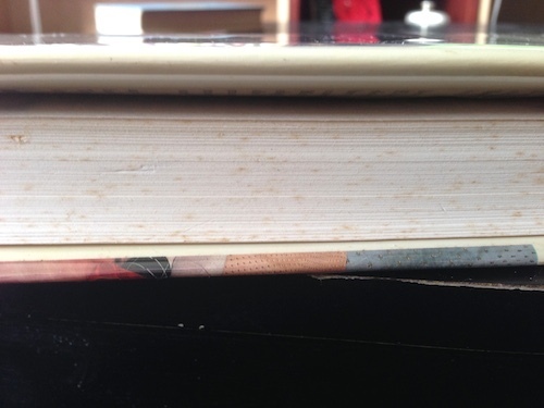 Slaves of New York, by Tama Janowitz (1986), First Edition First Printing