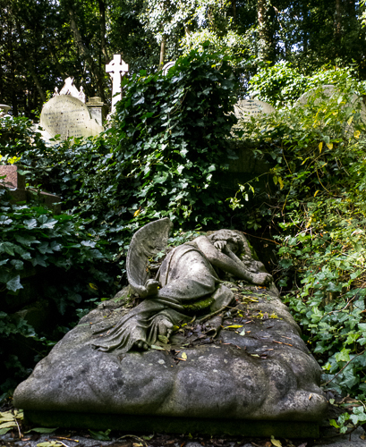 Sleeping Angel