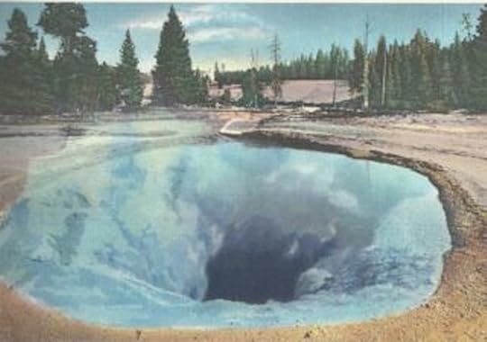 MorningGlory_Pool