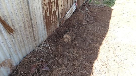 JDS - SIDE FENCE6