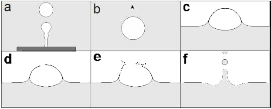 Figure 2: Schematic example of Bubble formation (a), rise (b), surfacing (c), rupture (d), film droplet formation (e), and finally jet droplet formation (f) illustrating the life of bubbles from birth to death. (Bird, 2014, used with permission)