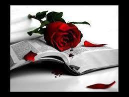 libro y rosas