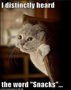 875d533240334587b71d41f115f13ee5