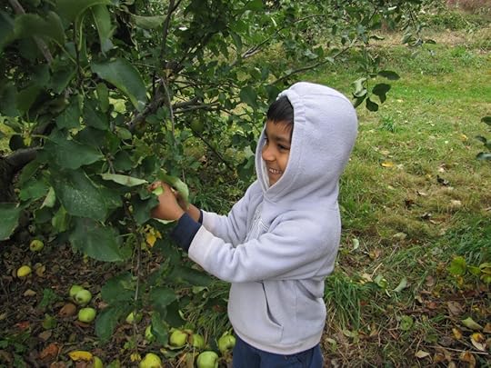 Aadi Apple Picking