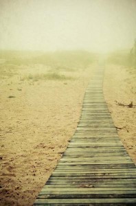Beach-PeopleTools