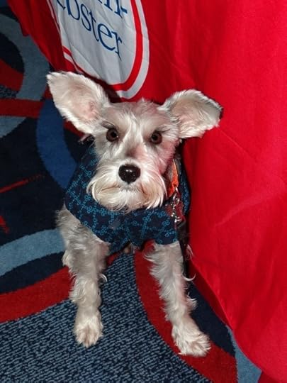 This is Hershel. We met him at the Merriam Webster booth at #SIBA14.