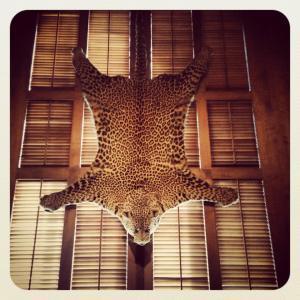 10710681_10152793281118216_5411907599462993288_n