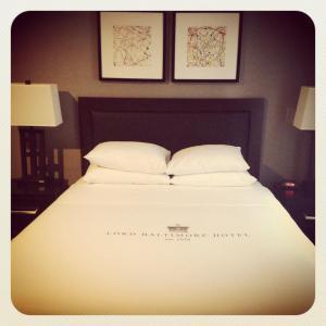 10696434_10152789376768216_4705294709248569920_n