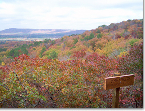 View from the top of Pine Mountain over Callaway Gardens.
