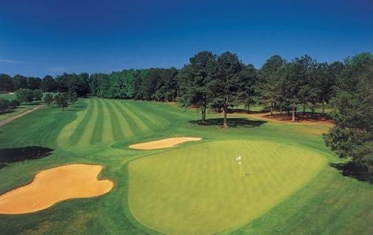 The green golf courses attract a lot of attention. The Gardens hosts many renowned golfing tournaments. this is the famous Mountain View course.