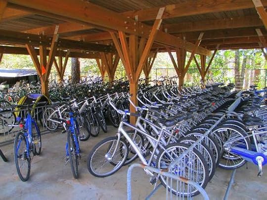 Probably my most favorite way to view The Gardens is by bicycle.
