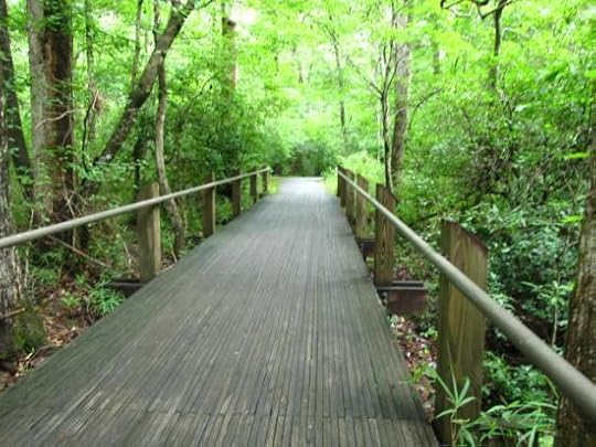 The boardwalked bike trails through the woods are nice any season.